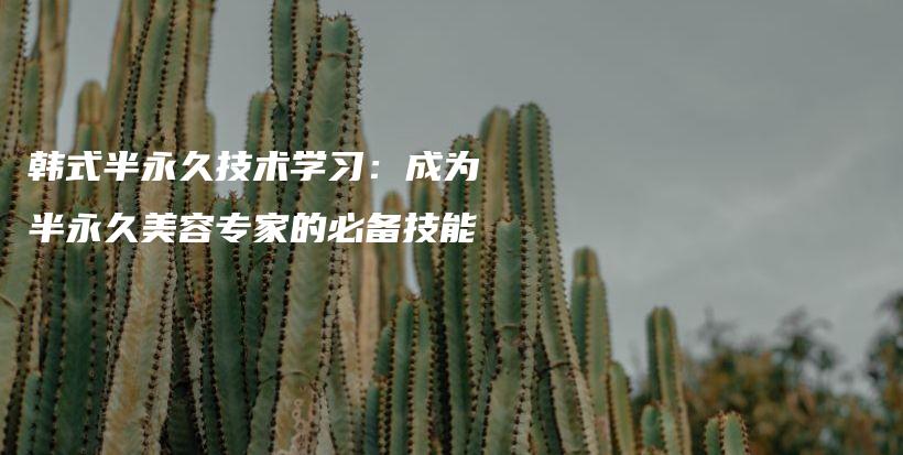 韩式半永久技术学习：成为半永久美容专家的必备技能插图