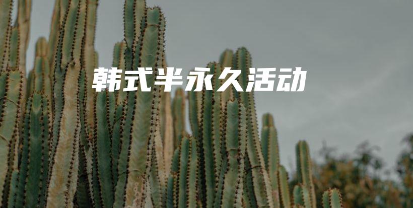 韩式半永久活动插图