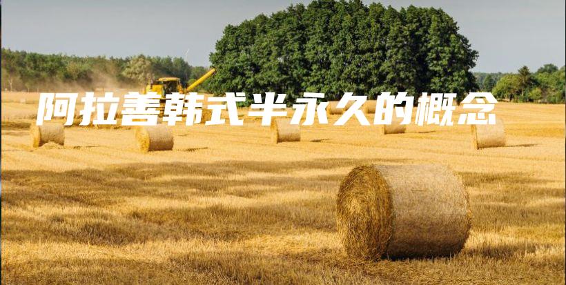 阿拉善韩式半永久的概念插图