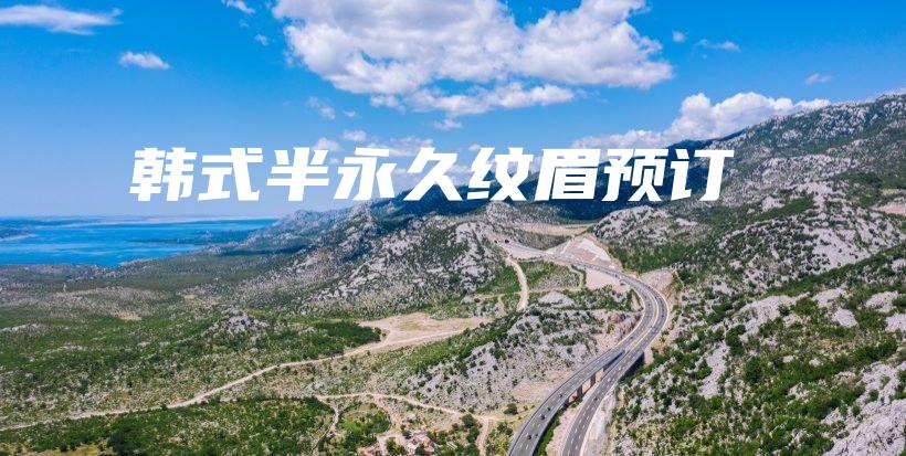 韩式半永久纹眉预订插图