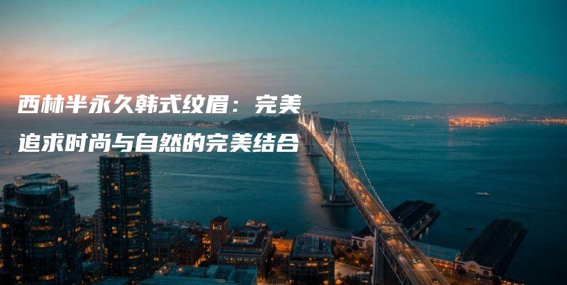 西林半永久韩式纹眉：完美追求时尚与自然的完美结合插图