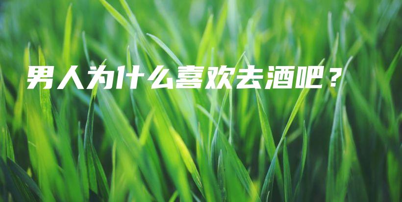 男人为什么喜欢去酒吧？插图