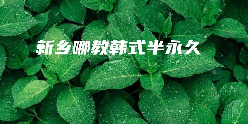新乡哪教韩式半永久插图