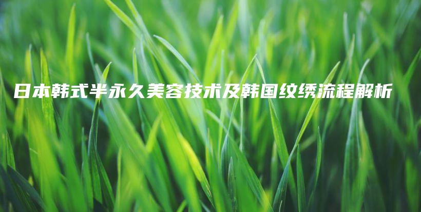 日本韩式半永久美容技术及韩国纹绣流程解析插图