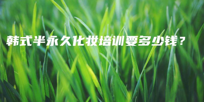 韩式半永久化妆培训要多少钱？插图