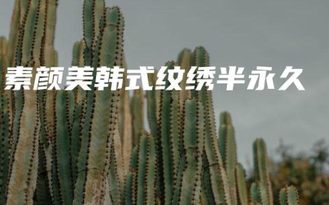 素颜美韩式纹绣半永久