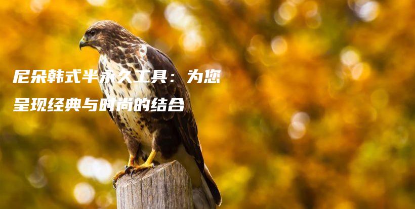 尼朵韩式半永久工具：为您呈现经典与时尚的结合插图
