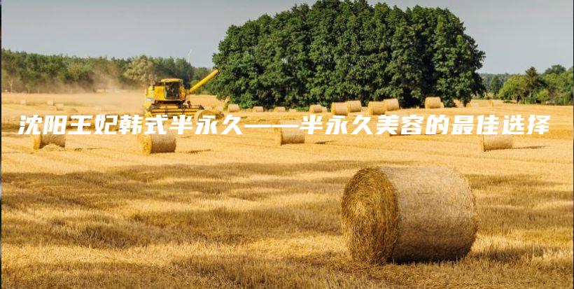 沈阳王妃韩式半永久——半永久美容的最佳选择插图