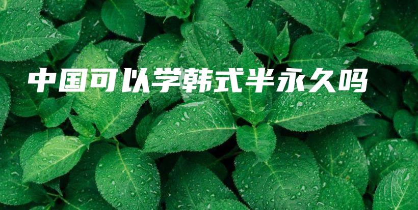 中国可以学韩式半永久吗插图