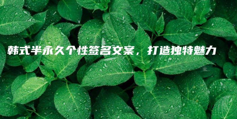 韩式半永久个性签名文案，打造独特魅力插图