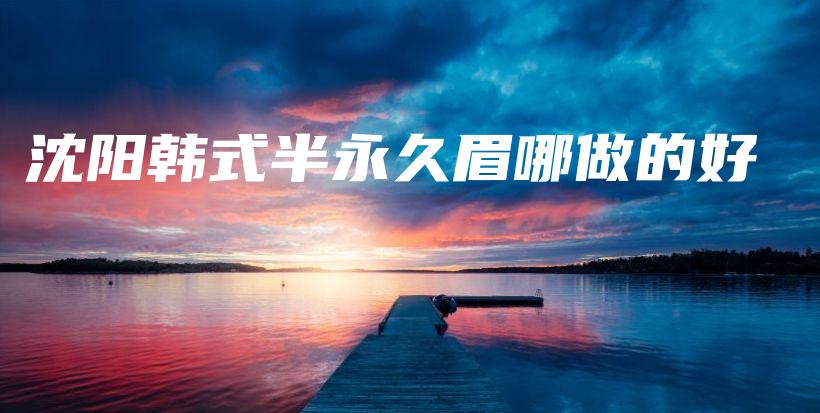 沈阳韩式半永久眉哪做的好插图