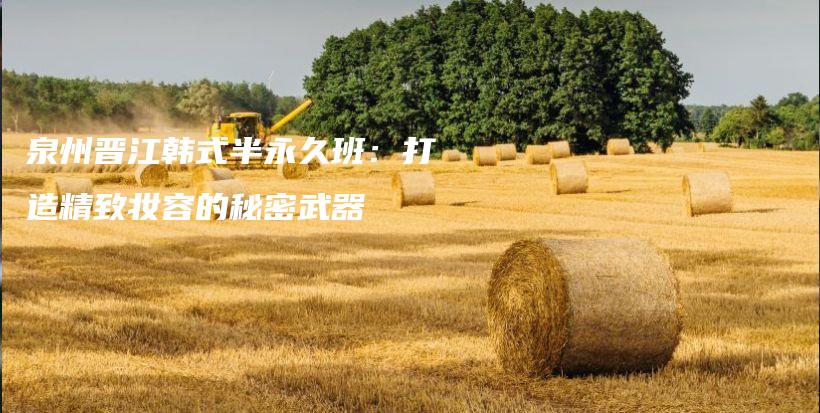 泉州晋江韩式半永久班：打造精致妆容的秘密武器插图