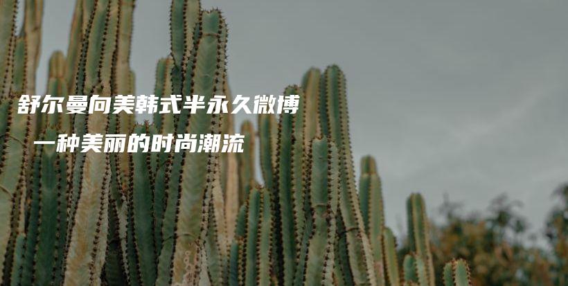 舒尔曼向美韩式半永久微博 一种美丽的时尚潮流插图