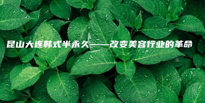 昆山大连韩式半永久——改变美容行业的革命插图