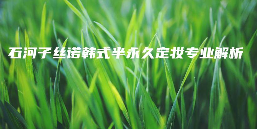 石河子丝诺韩式半永久定妆专业解析插图