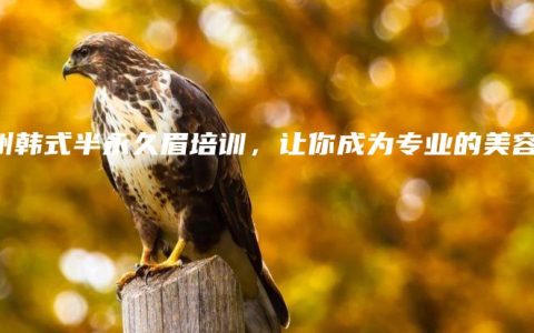 苏州韩式半永久眉培训，让你成为专业的美容师