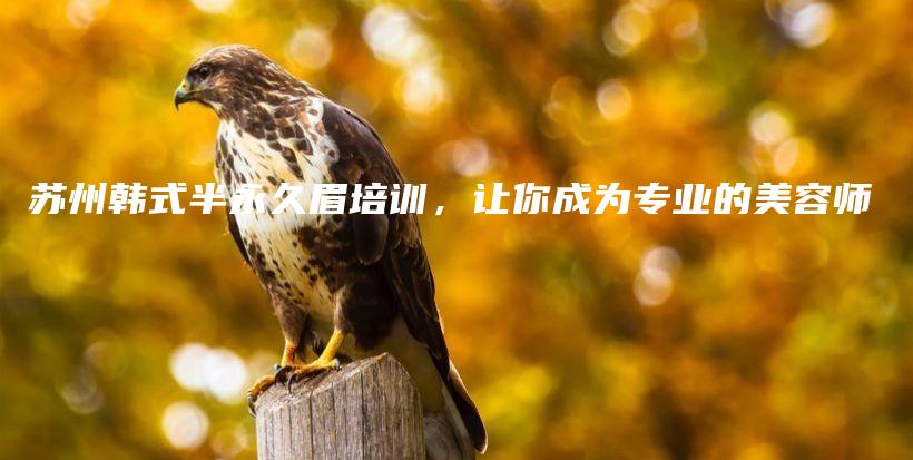 苏州韩式半永久眉培训，让你成为专业的美容师插图