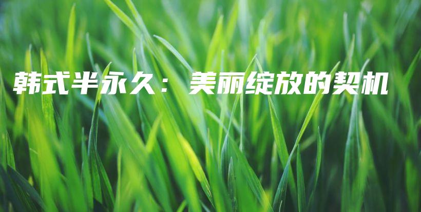 韩式半永久：美丽绽放的契机插图