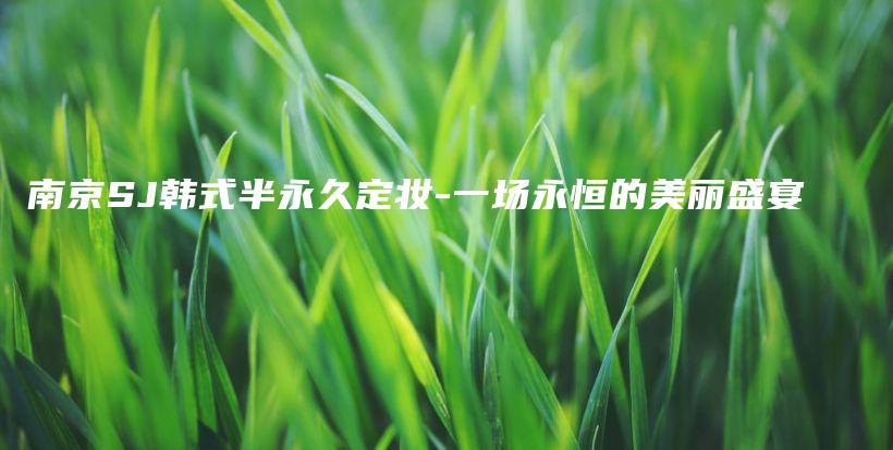 南京SJ韩式半永久定妆-一场永恒的美丽盛宴插图