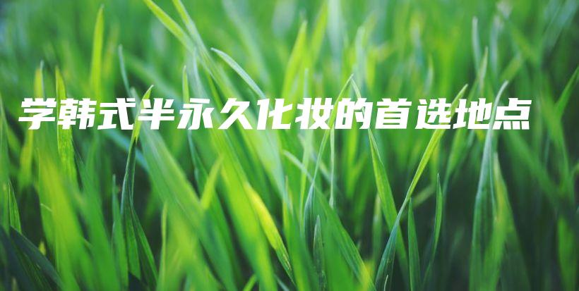 学韩式半永久化妆的首选地点插图