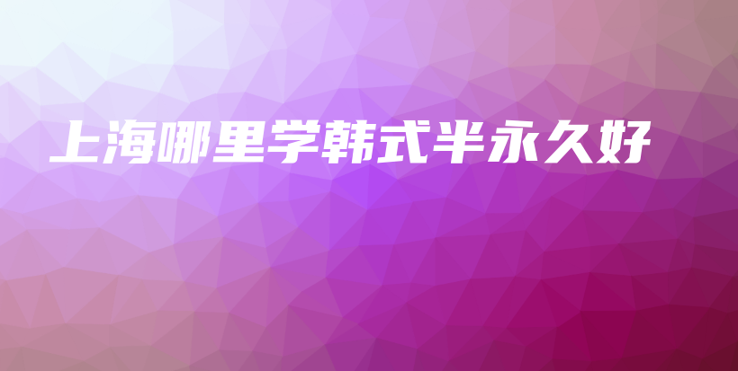 上海哪里学韩式半永久好插图