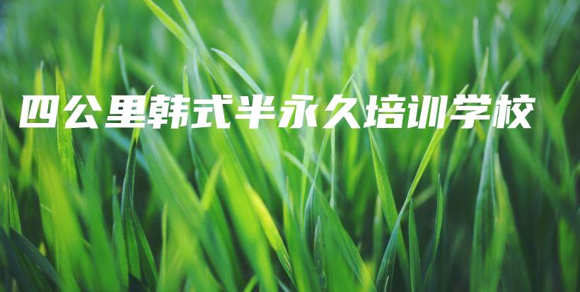 四公里韩式半永久培训学校插图