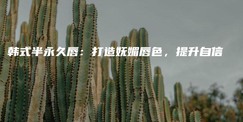 韩式半永久唇：打造妩媚唇色，提升自信插图
