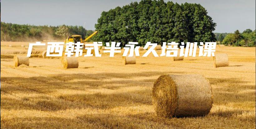 广西韩式半永久培训课插图