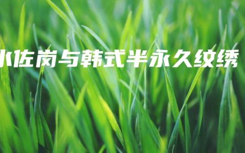 水佐岗与韩式半永久纹绣