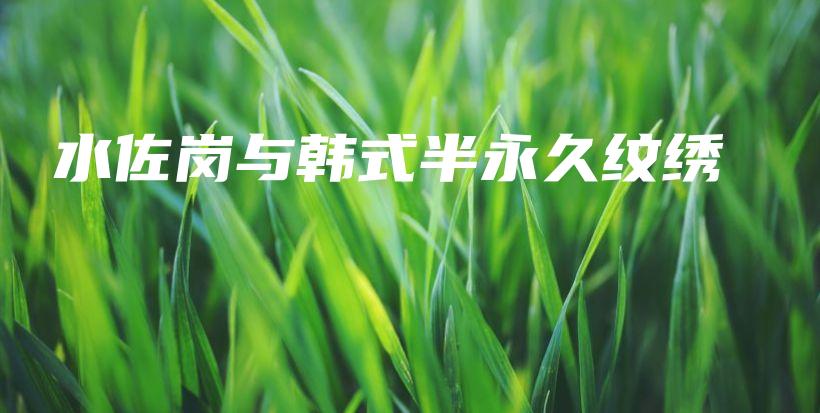 水佐岗与韩式半永久纹绣插图