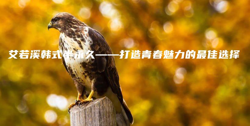 艾若溪韩式半永久——打造青春魅力的最佳选择插图