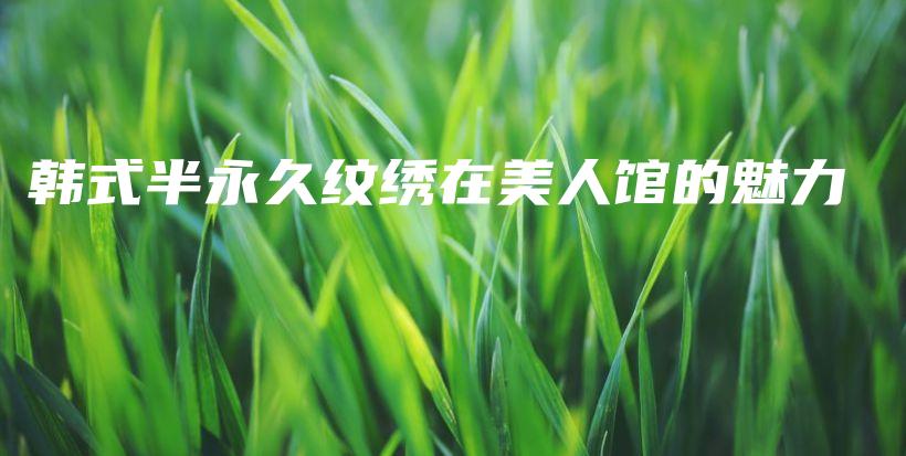 韩式半永久纹绣在美人馆的魅力插图