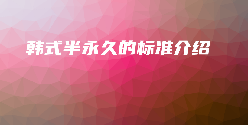 韩式半永久的标准介绍插图