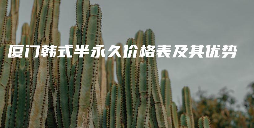 厦门韩式半永久价格表及其优势插图