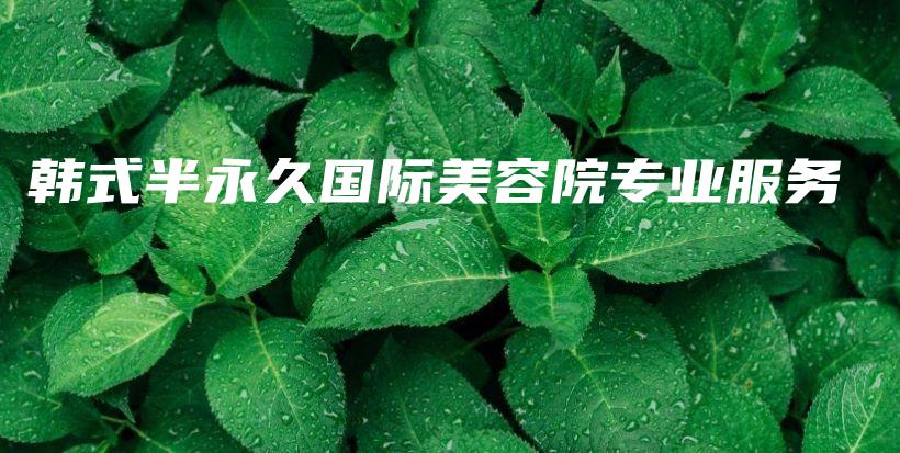 韩式半永久国际美容院专业服务插图