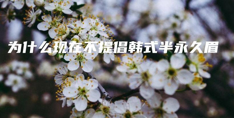 为什么现在不提倡韩式半永久眉插图