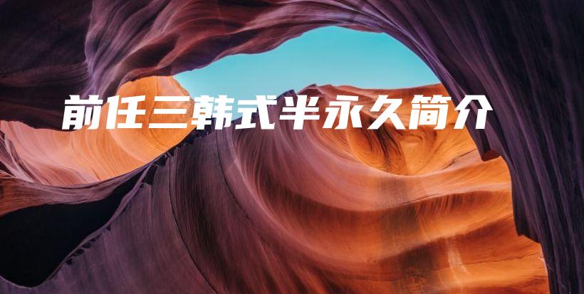 前任三韩式半永久简介插图
