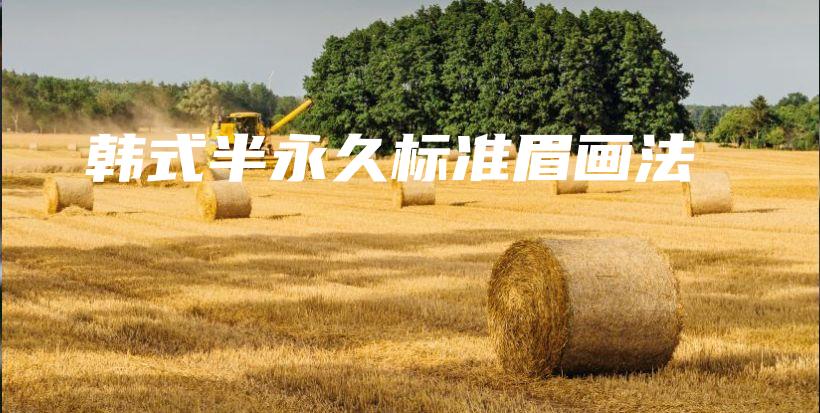 韩式半永久标准眉画法插图