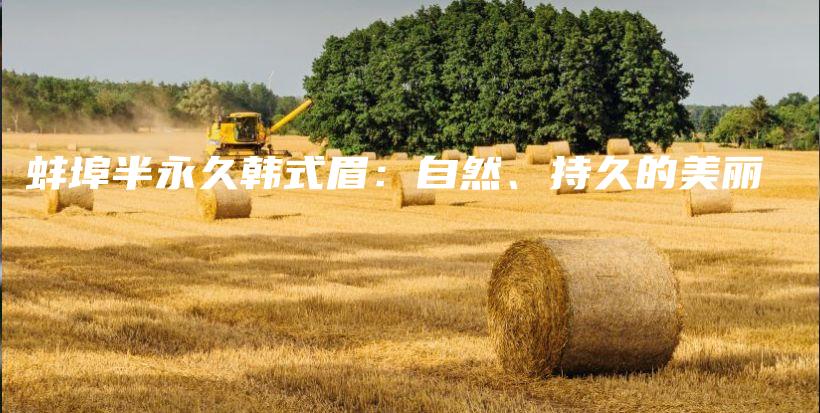 蚌埠半永久韩式眉：自然、持久的美丽插图