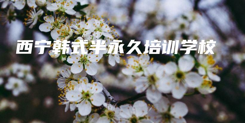 西宁韩式半永久培训学校插图