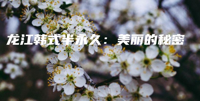 龙江韩式半永久：美丽的秘密插图