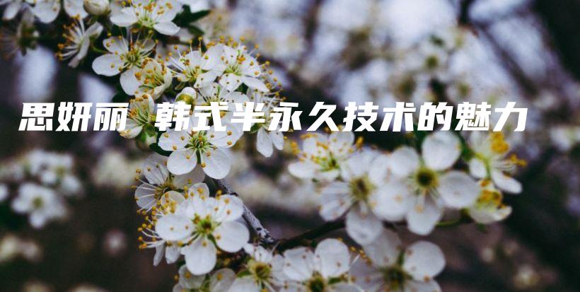 思妍丽 韩式半永久技术的魅力插图