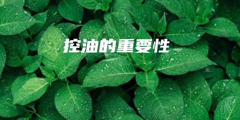 控油的重要性插图