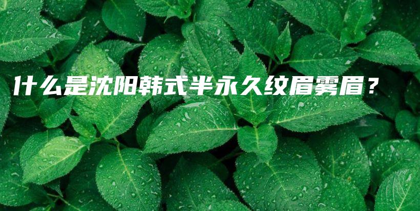 什么是沈阳韩式半永久纹眉雾眉？插图