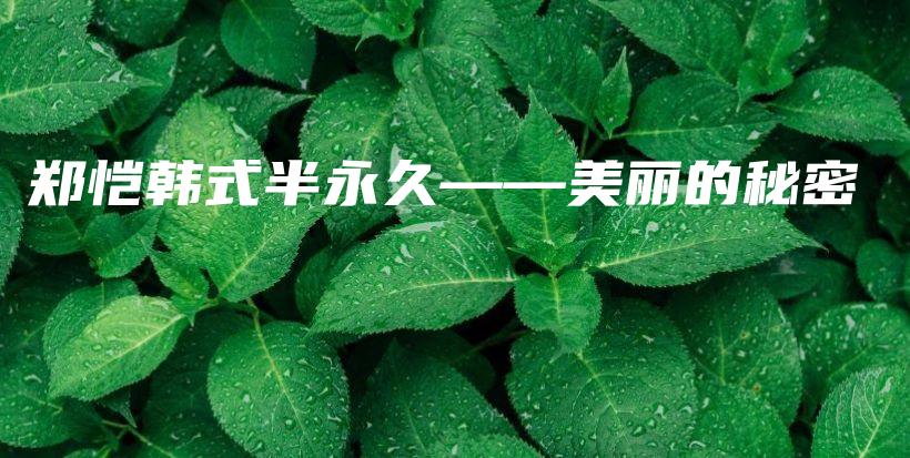 郑恺韩式半永久——美丽的秘密插图