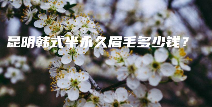 昆明韩式半永久眉毛多少钱？插图