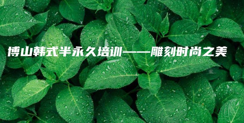 博山韩式半永久培训——雕刻时尚之美插图