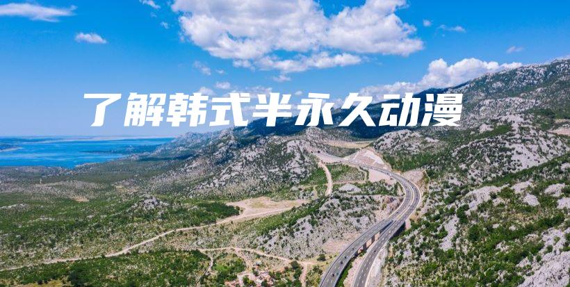 了解韩式半永久动漫插图