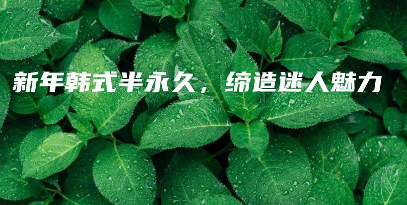 新年韩式半永久，缔造迷人魅力插图