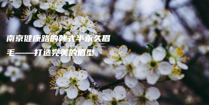 南京健康路的韩式半永久眉毛——打造完美的眉型插图